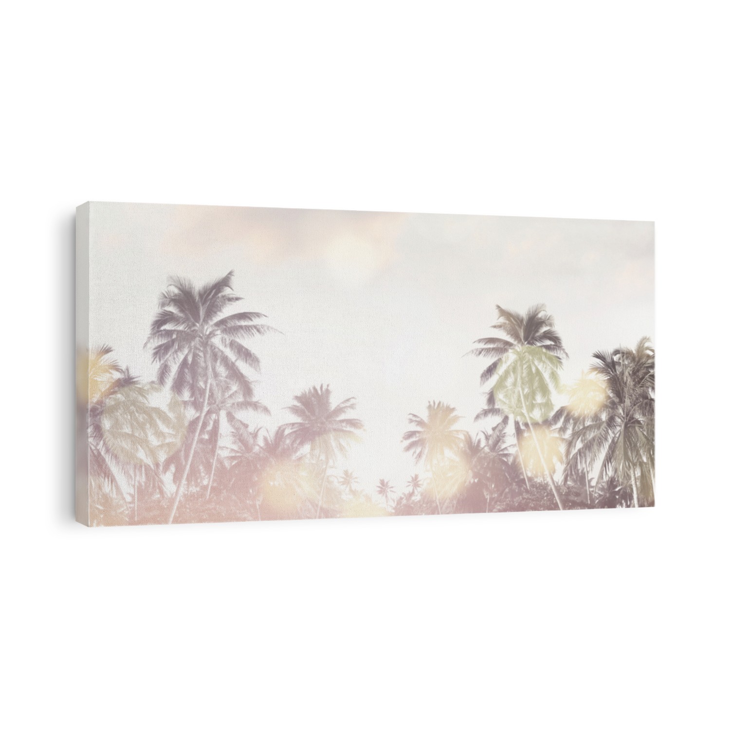 Tropical beach summer background with palm trees silhouette at sunset. Coconut palm trees at tropical coast with vintage effect. Bokeh effect. Panorama